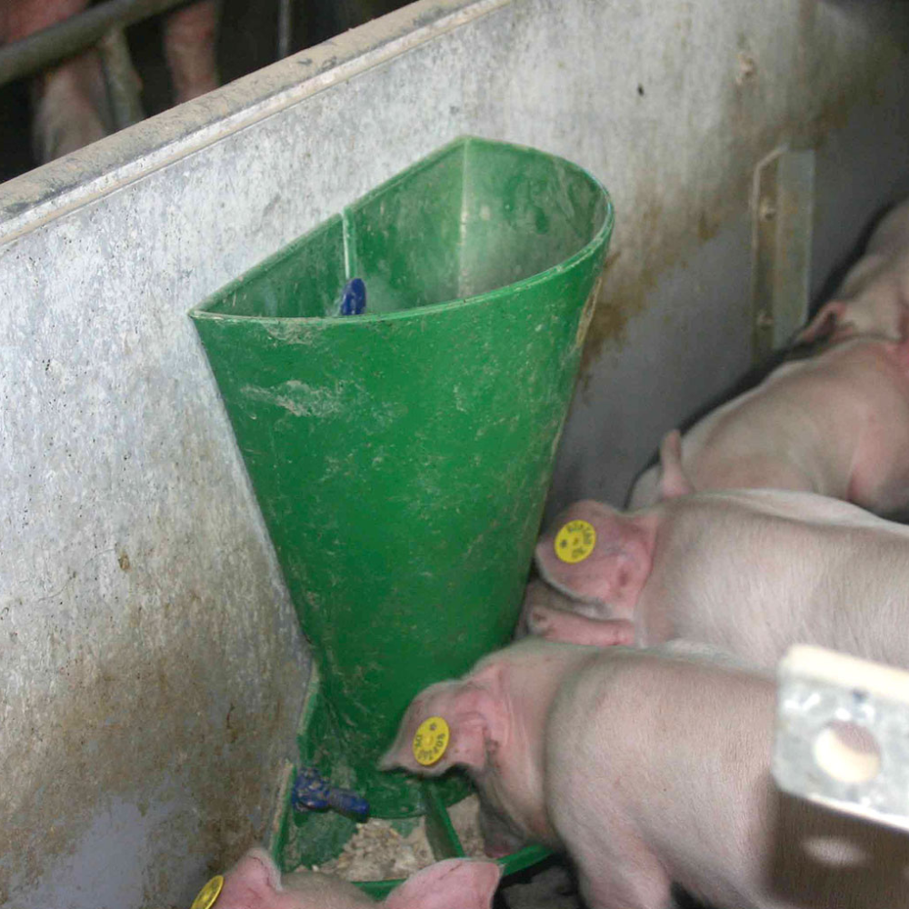 Barotava sivēniem, 5 litri